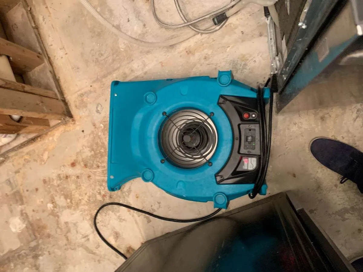 Air mover drying equipment for Mold Remediation & Removal in Skippack